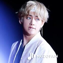 V [Bts] - Winter Bear